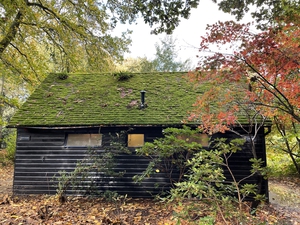 Image shows a public restroom with roof covered in green moss. The restroom is surrounded by trees and fall foliage