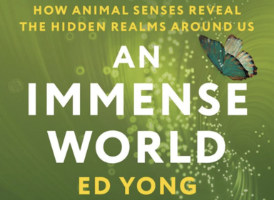 Image shows part of book cover of An Immense World