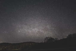 Image shows the night sky filled with stars